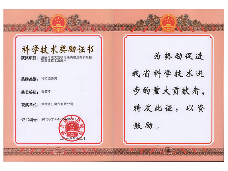 Hubei Science and Technology Progress First Prize